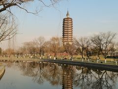-西海子公园