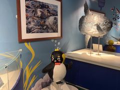 -烟台海昌鲸鲨海洋公园