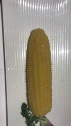 点击看大图 -稻香酒家-宴会厅·BB宴·年会·喜宴(天河领展店)