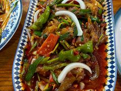 -柴窝堡22号辣子鸡·传承新疆菜