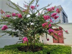 -北京理工大学(中关村校区)