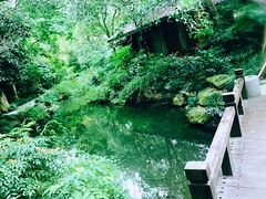 苏堤-西湖游船