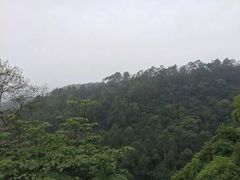 -火炉山森林公园