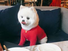 -the rug 飞毯 (朝阳公园店)
