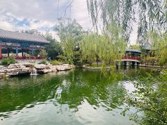 -迎泽公园