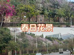 -南宁市凤岭儿童公园