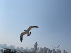 -星海广场