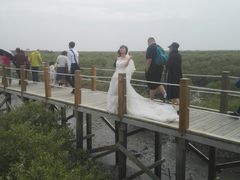 -北海金海湾红树林生态旅游区