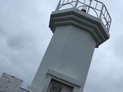 -涉地可支