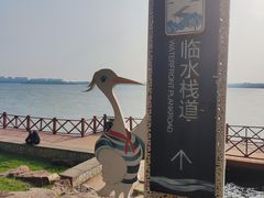 -丁香湖公园