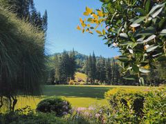 -深圳仙湖植物园