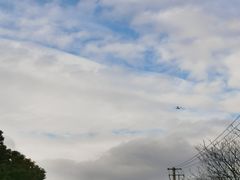 -胜华驾校·小猫学车(银都店)