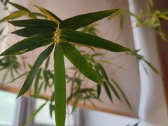 -捌楼咖啡书吧(南开店)