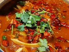 -川堂风·跷脚牛肉·乐山爆炒(宝山日月光店)