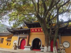 -宝岩生态观光园