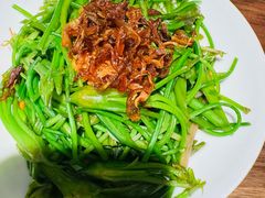 -菌自由丨野生菌火锅特色庭院餐厅(丽江古城店)