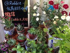 -Rabbit Cafe私房西餐甜点咖啡(栖霞路店)