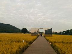 -艾米稻香小镇