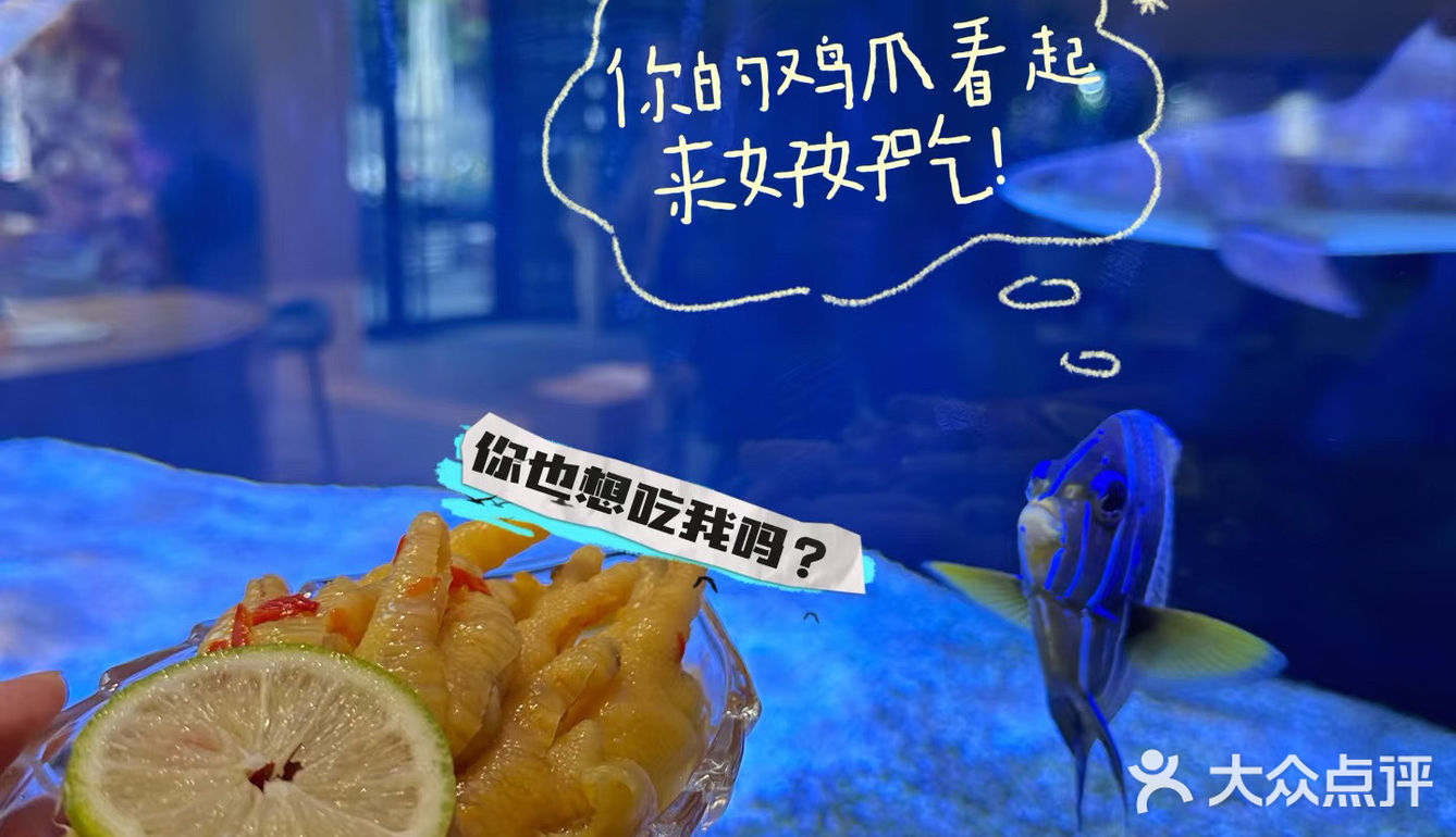 雾隐
