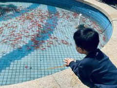 -昆山城市生态森林公园