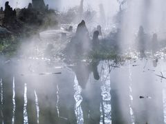 -东湖落雁景区