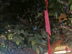 -成老灶火锅鸡(平山店)
