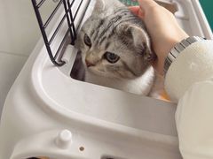 -宠颐生动物医院·小陆分院
