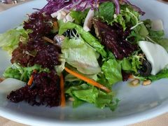 -意大利农场度假村