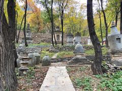 -北京上方山国家森林公园
