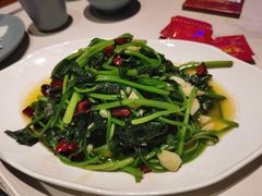 番薯叶-老周家酱卤猪蹄私房菜(克拉玛依西街店)