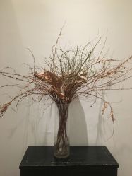 -无界瑜伽普拉提