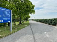 -上海滨江森林公园