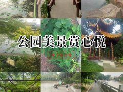 -嘉定紫藤园