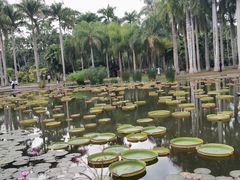 -中国科学院西双版纳热带植物园