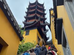 -邵顺兴锅盖面(金山宝地店)