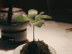-初蓉丨遇见新川菜(亲贤街荣耀店)