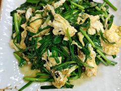 -龙泽园私房菜·地道南京味 ·招牌大鱼头(油坊桥店)