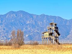 -野鸭湖国家湿地公园