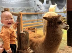 -Zoolung Zoolung动物主题公园(海信广场店)