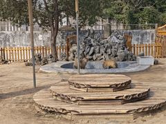 -合肥野生动物园