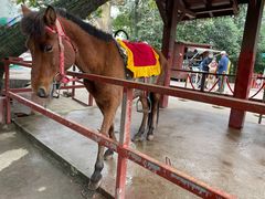 -西安秦岭野生动物园