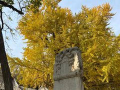 -潭柘寺景区