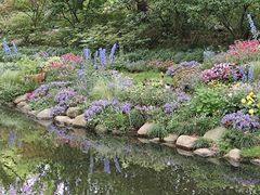 -上海共青森林公园