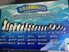 -珠海长隆海洋王国