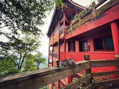 -青城山