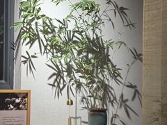 -十二舍·湯物素煮(江泰潤政店)