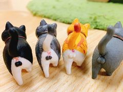 -猫和宫(六道口店)