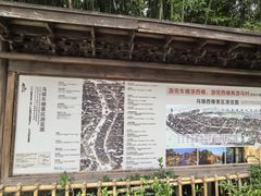 -乌镇东栅景区