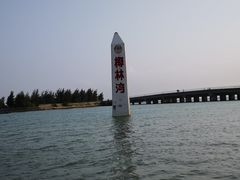 -东郊椰林