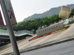 -小媳妇铁锅炖鱼(世博园店)